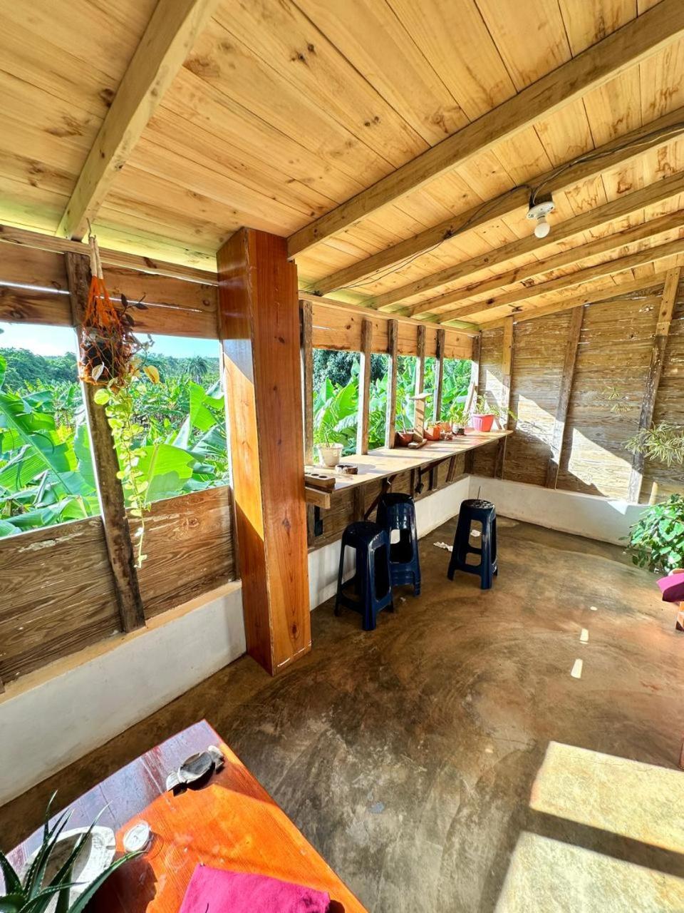 Hostel La Ballena Backpacker Las Galeras Exterior photo
